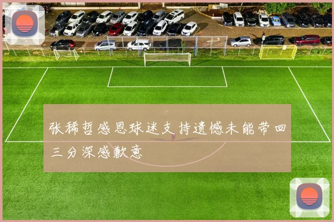 张稀哲感恩球迷支持遗憾未能带回三分深感歉意