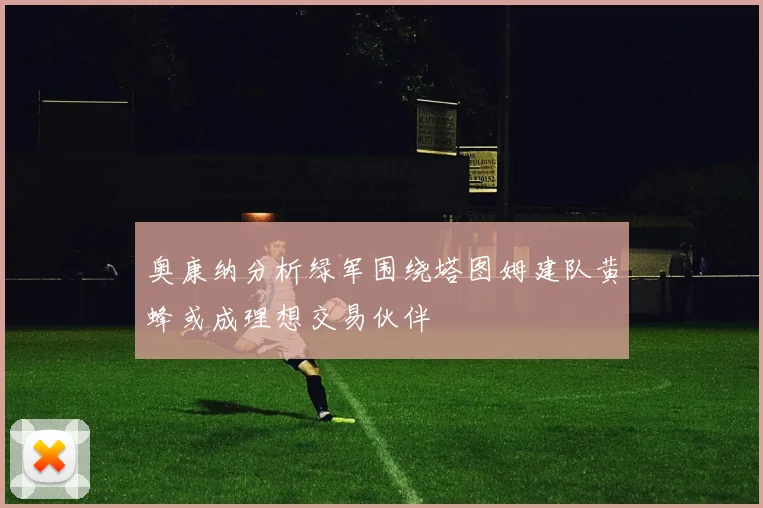 奥康纳分析绿军围绕塔图姆建队黄蜂或成理想交易伙伴