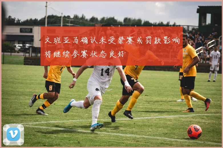 文班亚马确认未受禁赛或罚款影响将继续参赛状态良好